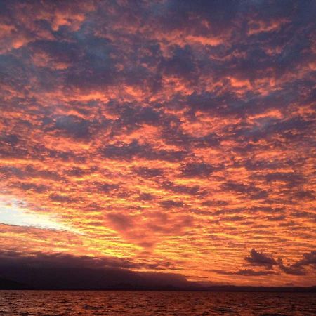 Cosy Studio Port Douglas Luaran gambar