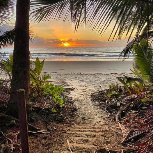 Cosy Studio Port Douglas Luaran gambar